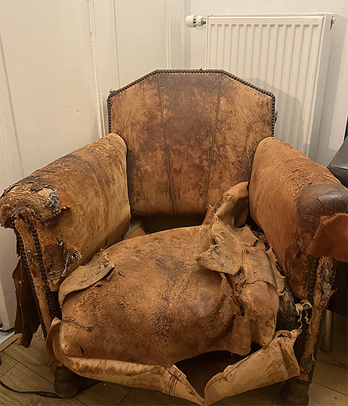 Fauteuil van Gerard Reve